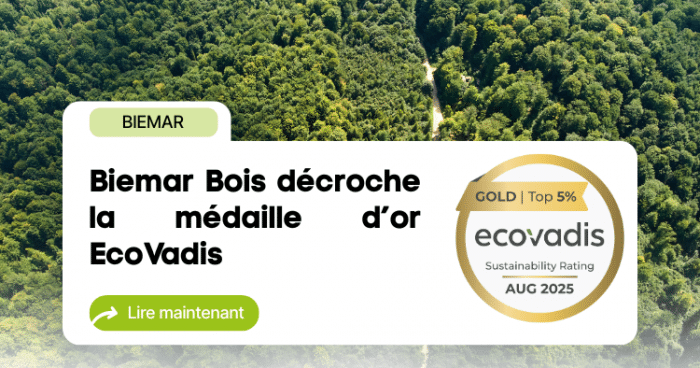Article Ecovadis